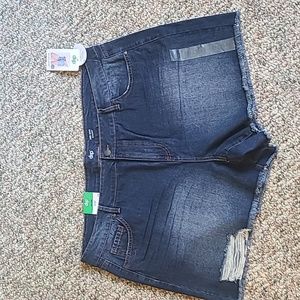 DIP BRAND WOMEN'S PLUS SIZE  BLUE JEAN CUTOFF DISTRESSED SHORTS SIZE 24W